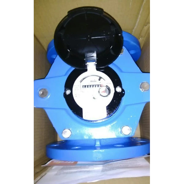 Itron Water meter Woltex 6 "