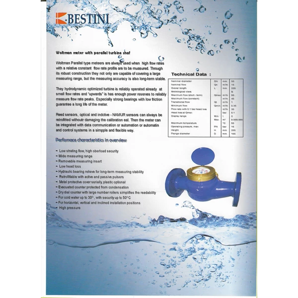 Water Meter - Bestini - Water Meter Bestini 50mm - 300mm