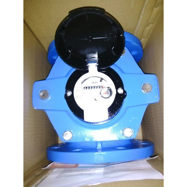Water Meter Itron Woltex Size 6"
