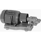 Gear Pump Electric EBARA GPE-20 1